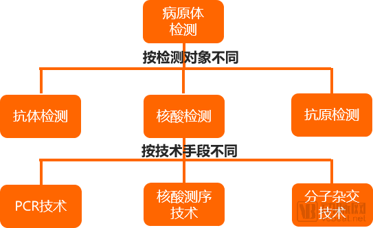 中国最新核酸检测消息，进展、策略与未来展望