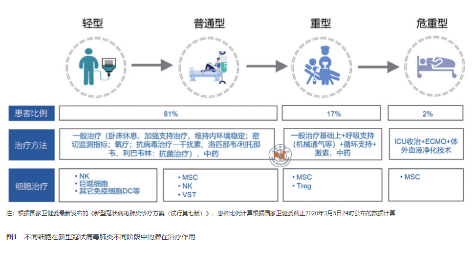 新型管状肺炎最新动态，全球进展与应对策略