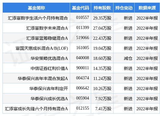 汇添富责任最新净值，深度解读与前景展望