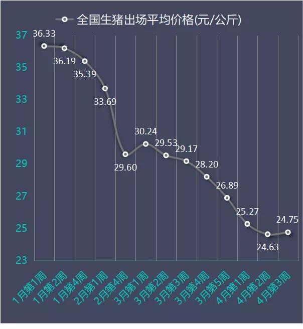 最新猪价动态，深度解析12月4日的行业趋势