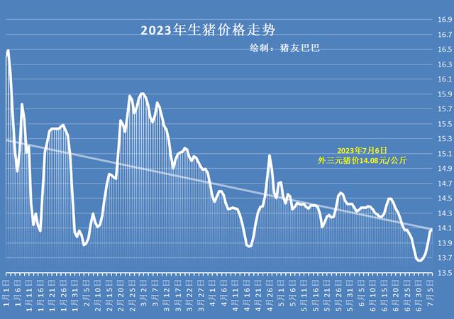 国内最新生猪价格动态分析