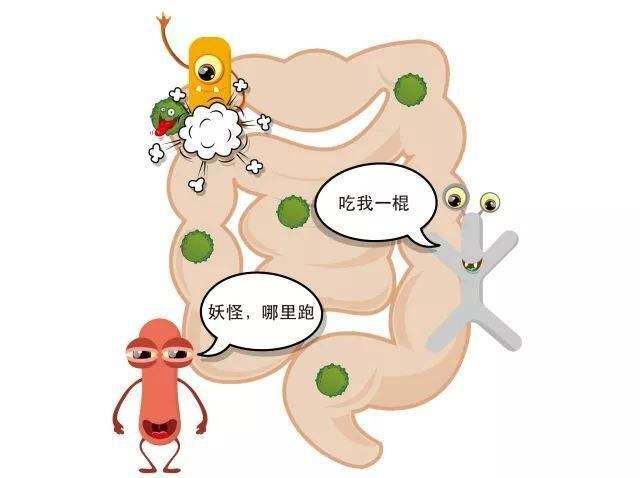 最新病毒拉肚子，了解、预防与治疗