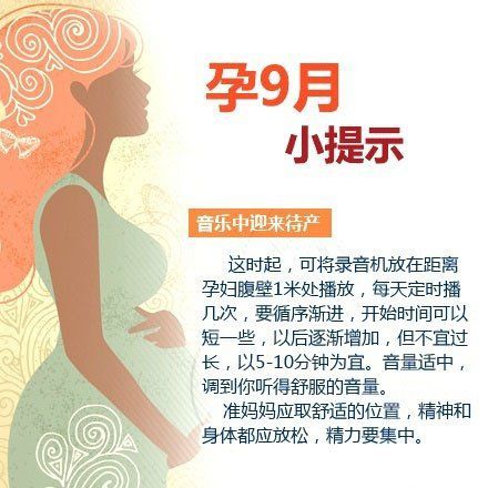 怀孕视频最新消息，探索现代孕期知识与资讯的交汇点